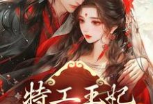 小说《特工王妃：王爷，请自重！》在线章节阅读-豌豆文学