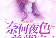 《奈何夜色总薄凉》小说章节列表免费试读，汪晚吟顾允笙江梓熙顾希小说在线阅读-豌豆文学