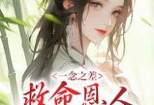秦漱宋郇为主角的小说好看吗？免费读一念之差，救命恩人变害命凶手-豌豆文学