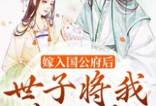 嫁入国公府后，世子将我宠上天陆昭昭沈嘉衍小说在线章节目录阅读最新章节-豌豆文学