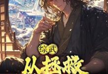 综武：从拯救殷素素开始小说，综武：从拯救殷素素开始苏玄-豌豆文学