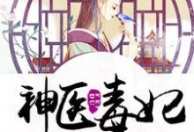免费在线阅读神医毒妃小说的正规网站有哪些？-豌豆文学