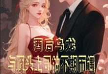 酒后乌龙！与顶头上司的不期而遇小说最新更新在哪里？免费在线看-豌豆文学