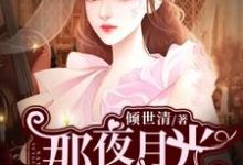 那夜月光如初雪林若雨许意白马冉杨青月，那夜月光如初雪章节在线阅读-豌豆文学