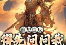 谁想造反，得先问问我千古一帝赵武小说大结局免费试读-豌豆文学