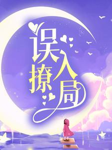 误撩入局小说阅读，误撩入局完结版