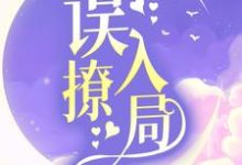 免费看误撩入局小说的网站有哪些？-豌豆文学