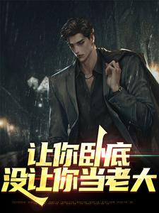 让你卧底，没让你当老大苏晨，让你卧底，没让你当老大小说免费阅读
