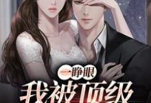 一睁眼，我被顶级大佬缠上了小说，一睁眼，我被顶级大佬缠上了章节在线阅读-豌豆文学