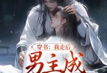 穿书：我走后，男主成黑莲花了小说有没有完整的免费版本在线阅读？-豌豆文学