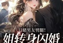 《目睹男友劈腿！姐转身闪婚京圈大佬》小说大结局免费试读 江茵顾泽霖小说-豌豆文学