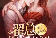 夫人去世后，翟总悔不当初小说的免费阅读版本在哪里可以找到？-豌豆文学