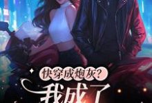 快穿成炮灰?我成了主角的皇婶小说,快穿成炮灰?我成了主角的皇婶最新章节-豌豆文学