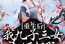 重生后,我九子三女权倾朝野小说的免费电子版在哪里可以下载或阅读?-豌豆文学