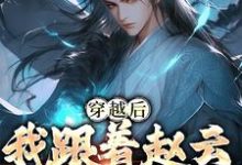 穿越后，我跟着赵云混三国小说阅读，穿越后，我跟着赵云混三国完结版-豌豆文学