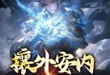 徐平是哪本书的主角？攘外安内，一人亦可为免费读-豌豆文学