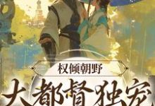 主人公叫罗依沈铮的小说哪里免费看-豌豆文学