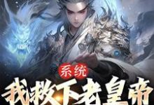 主角叫曹爽之小说系统：我救下老皇帝，就能逆天改命章节免费阅读-豌豆文学