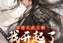 主人公叫陈烨小莲的小说哪里免费看-豌豆文学