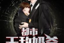 都市无敌奶爸小说的无弹窗阅读体验，寻找免费阅读网站-豌豆文学