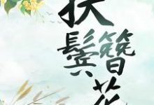 寻找能够免费阅读扶鬓簪花小说的平台-豌豆文学