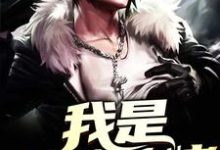 小说《我是全能大佬》章节阅读-豌豆文学