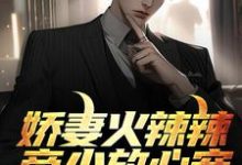 娇妻火辣辣:帝少放心宠楚宇轩赵雅楠,娇妻火辣辣:帝少放心宠小说免费阅读-豌豆文学