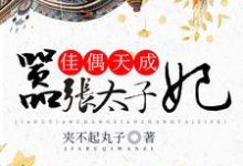 完结版《佳偶天成:嚣张太子妃》章节阅读-豌豆文学
