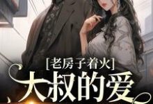 老房子着火：大叔的爱势不可挡秦舒意宋崇州，老房子着火：大叔的爱势不可挡在线无弹窗阅读-豌豆文学
