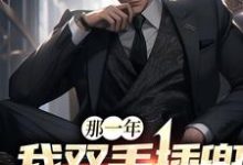 那一年，我双手插兜斩魔杀神这本小说怎么样？免费在线阅读试试-豌豆文学