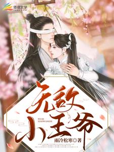 无敌小王爷免费阅读，无敌小王爷赵佖木婉清