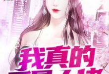 我真的不是大佬这本小说怎么样？免费在线阅读试试-豌豆文学