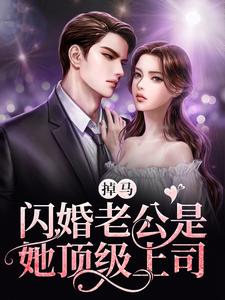 求苏宁秦临越小说免费资源