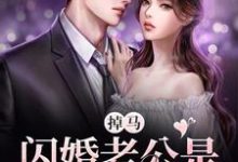 已完结小说《掉马!闪婚老公是她顶级上司》最新章节-豌豆文学