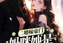二婚嫁豪门，妈咪她是人生赢家小说完结版章节免费阅读-豌豆文学