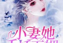 完结版《小妻她千娇百媚》章节目录在线阅读-豌豆文学