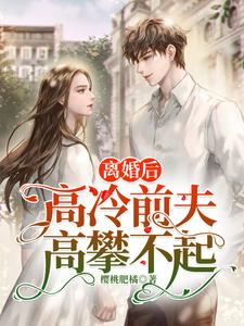 离婚后，高冷前夫高攀不起小说完结版章节免费阅读