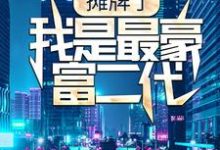 小说《摊牌了，我是最豪富二代》章节免费阅读-豌豆文学