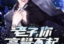 老子，你高攀不起叶凡方雅柔，老子，你高攀不起在线无弹窗阅读-豌豆文学