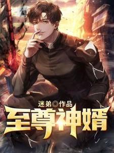 至尊神婿最新章节，至尊神婿免费阅读