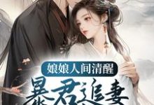 娘娘人间清醒，暴君追妻火葬场小说最新章节在哪里可以读到？-豌豆文学