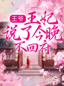 完结版《王爷，王妃说了今晚不回府！》章节目录在线阅读