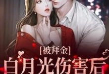 被拜金白月光伤害后，总裁黑化了小说全文哪里可以免费看？-豌豆文学