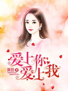 小说《爱上你爱上我》章节阅读