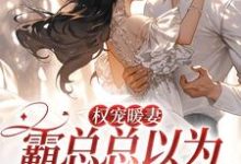权宠暖妻：霸总总以为我乖巧柔弱小说完结版章节免费阅读-豌豆文学
