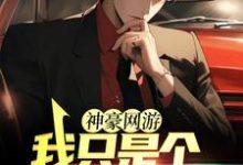 神豪网游：我只是个萌新玩家小说，神豪网游：我只是个萌新玩家赵林-豌豆文学