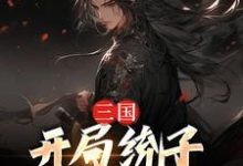 完整版的三国：开局统子向我投靠小说在哪里可以免费读到？-豌豆文学
