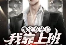 小说《绑定系统后，我靠上班摸鱼获得奖励》章节免费阅读-豌豆文学