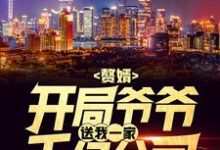 《赘婿：开局爷爷送我一家千亿公司》小说大结局免费试读 叶辰萧初然小说-豌豆文学