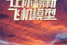 让你翻新飞机模型，你却打造幽灵战机？小说的免费阅读版本在哪里可以找到？-豌豆文学